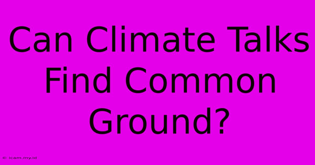 Can Climate Talks Find Common Ground?