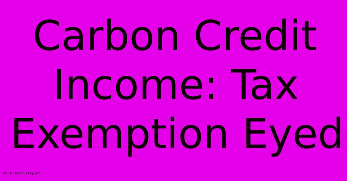 Carbon Credit Income: Tax Exemption Eyed