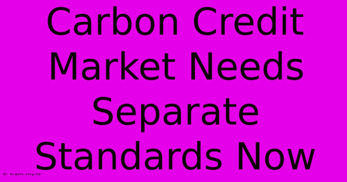 Carbon Credit Market Needs Separate Standards Now