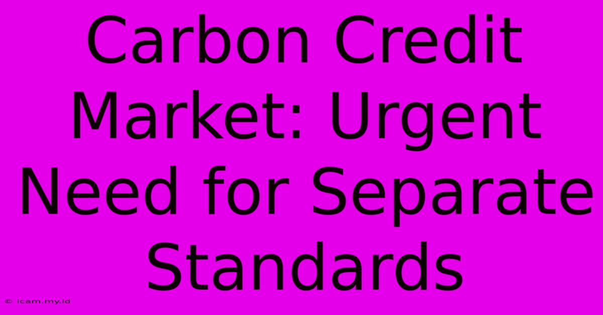 Carbon Credit Market: Urgent Need For Separate Standards