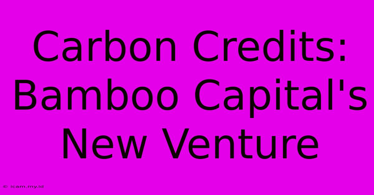 Carbon Credits: Bamboo Capital's New Venture