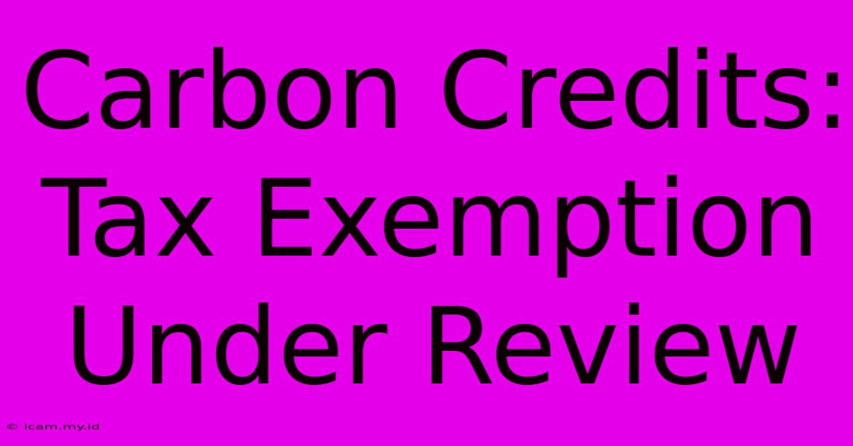 Carbon Credits: Tax Exemption Under Review