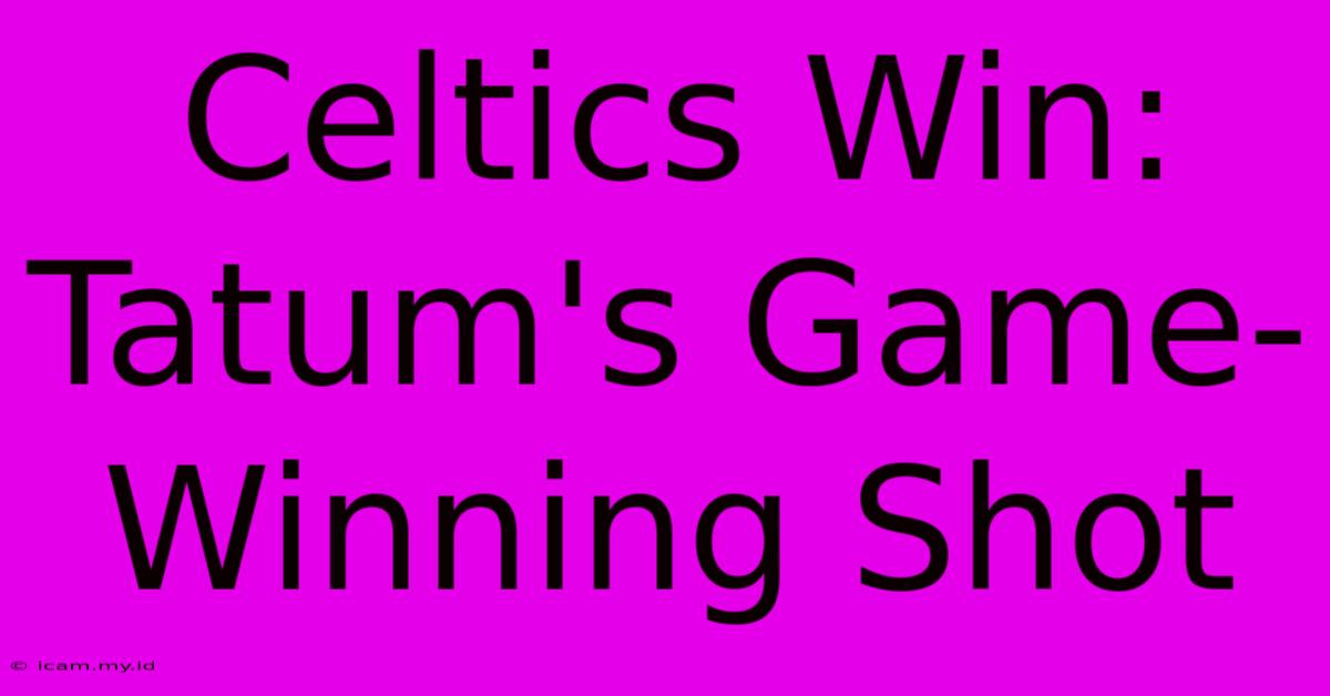 Celtics Win:  Tatum's Game-Winning Shot