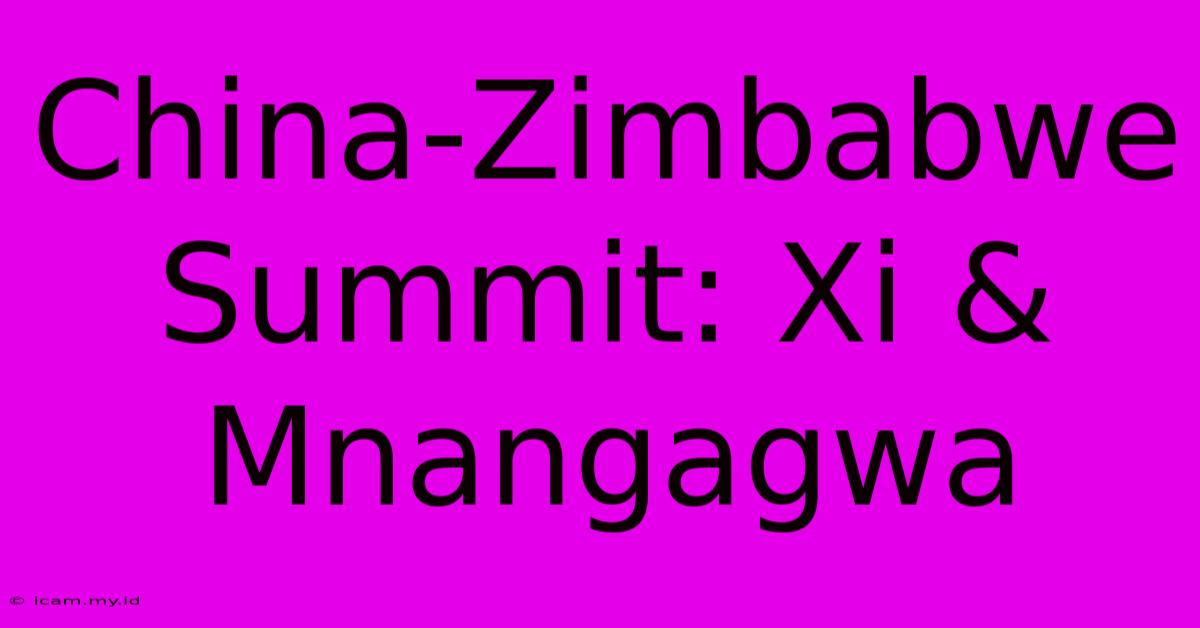 China-Zimbabwe Summit: Xi & Mnangagwa