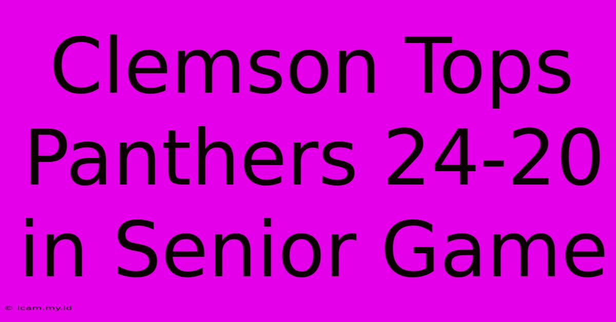 Clemson Tops Panthers 24-20 In Senior Game