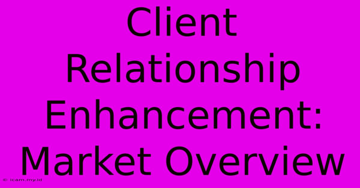 Client Relationship Enhancement: Market Overview