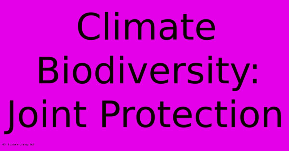 Climate Biodiversity:  Joint Protection