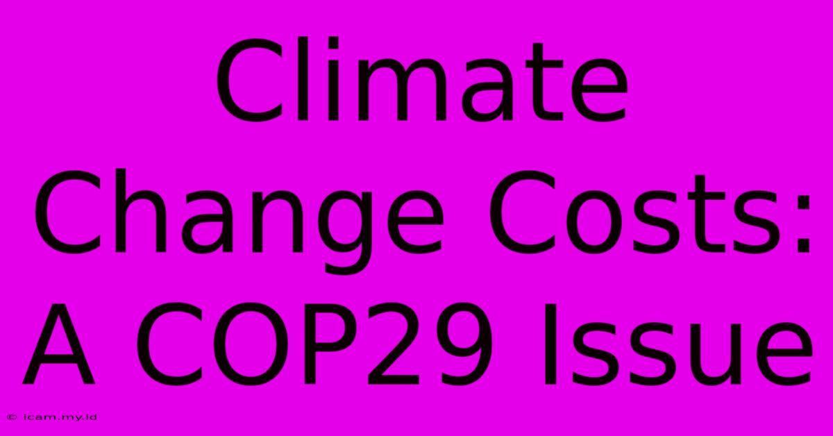 Climate Change Costs: A COP29 Issue