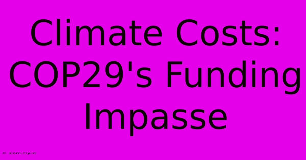 Climate Costs: COP29's Funding Impasse