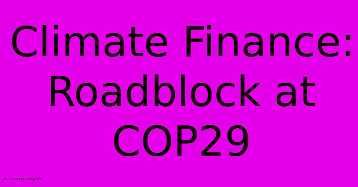 Climate Finance: Roadblock At COP29