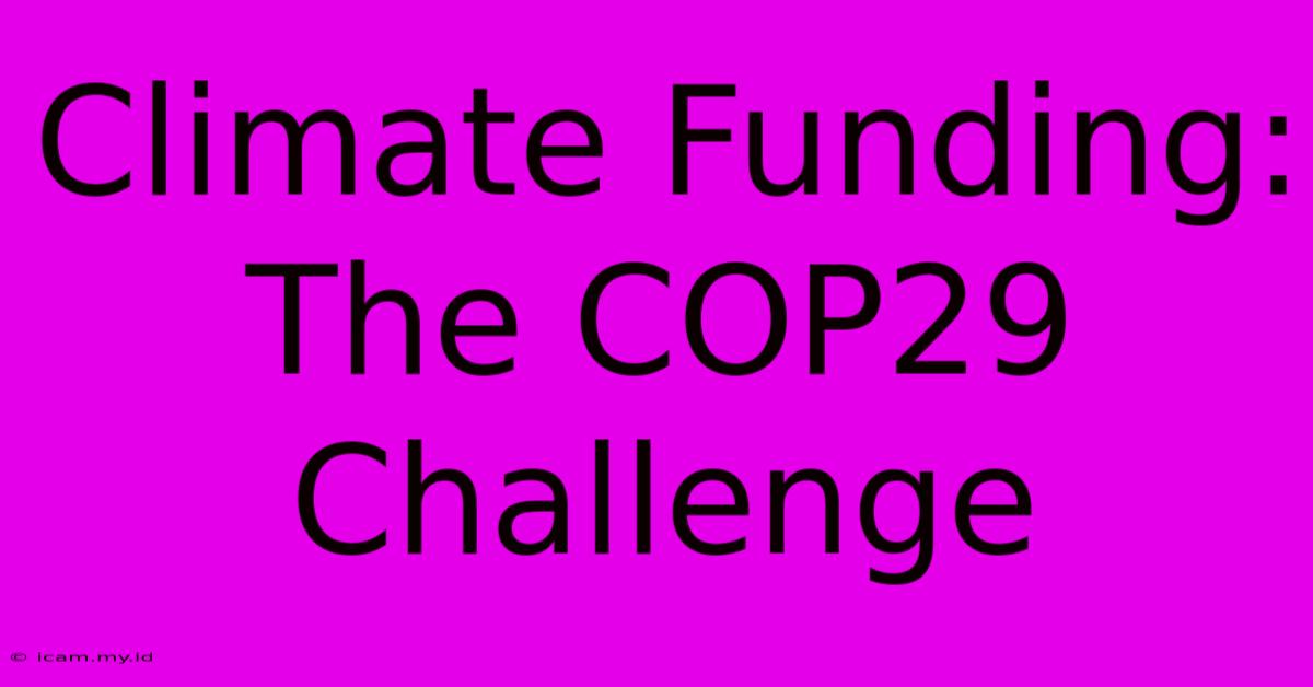 Climate Funding: The COP29 Challenge