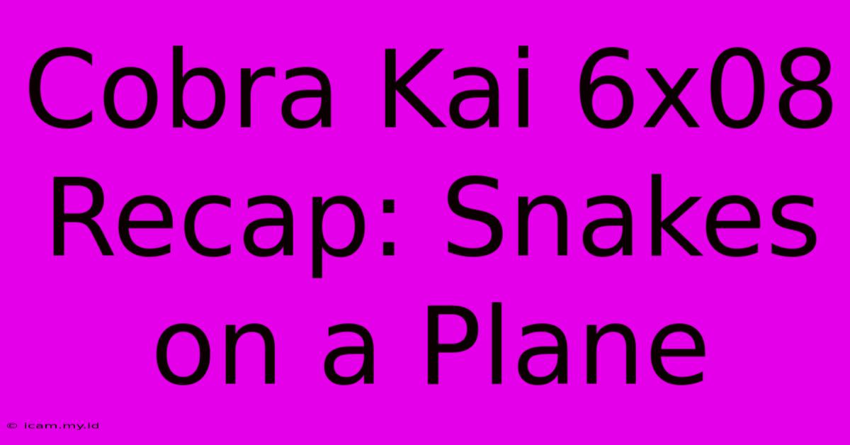 Cobra Kai 6x08 Recap: Snakes On A Plane