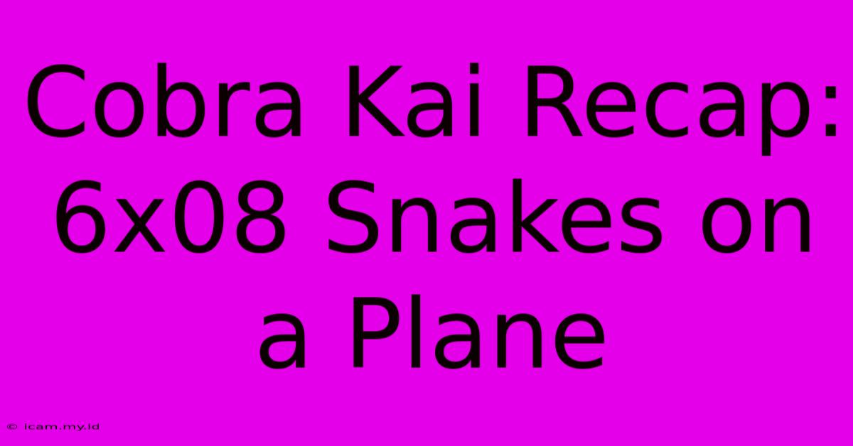 Cobra Kai Recap: 6x08 Snakes On A Plane