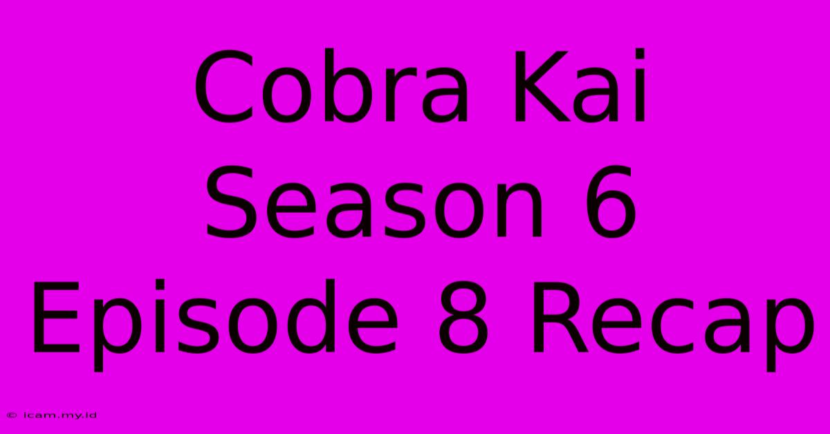 Cobra Kai Season 6 Episode 8 Recap