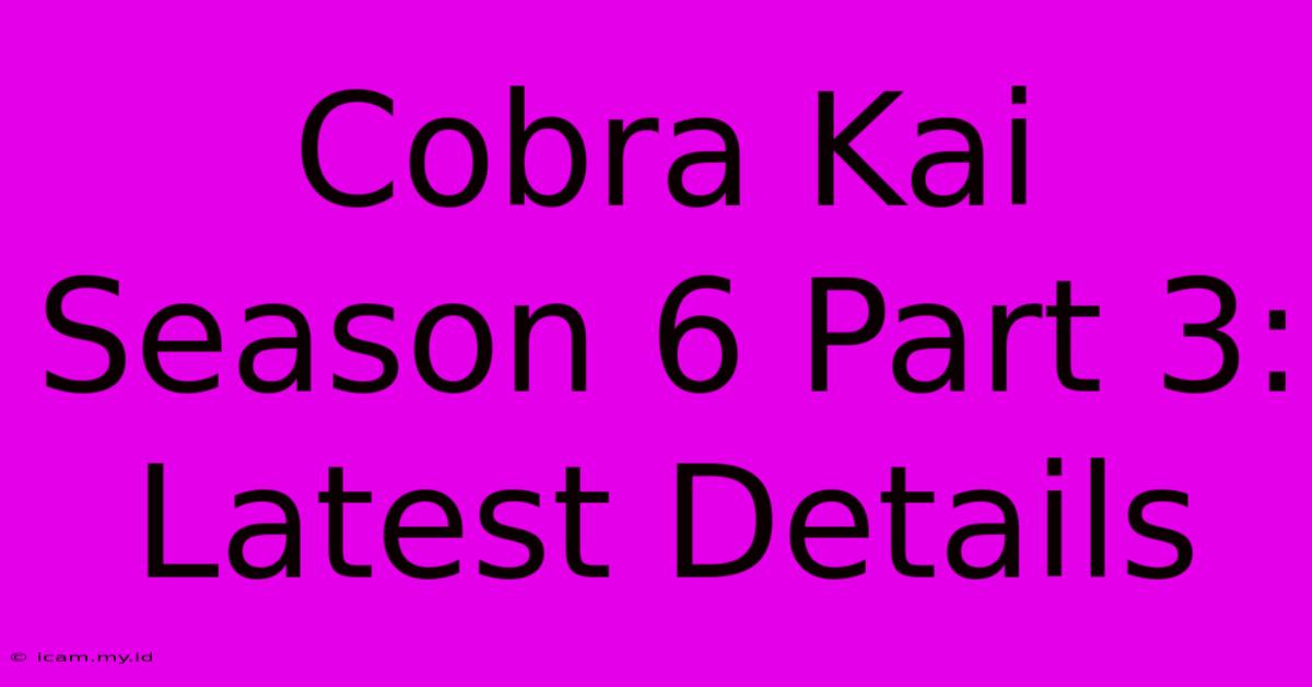 Cobra Kai Season 6 Part 3: Latest Details