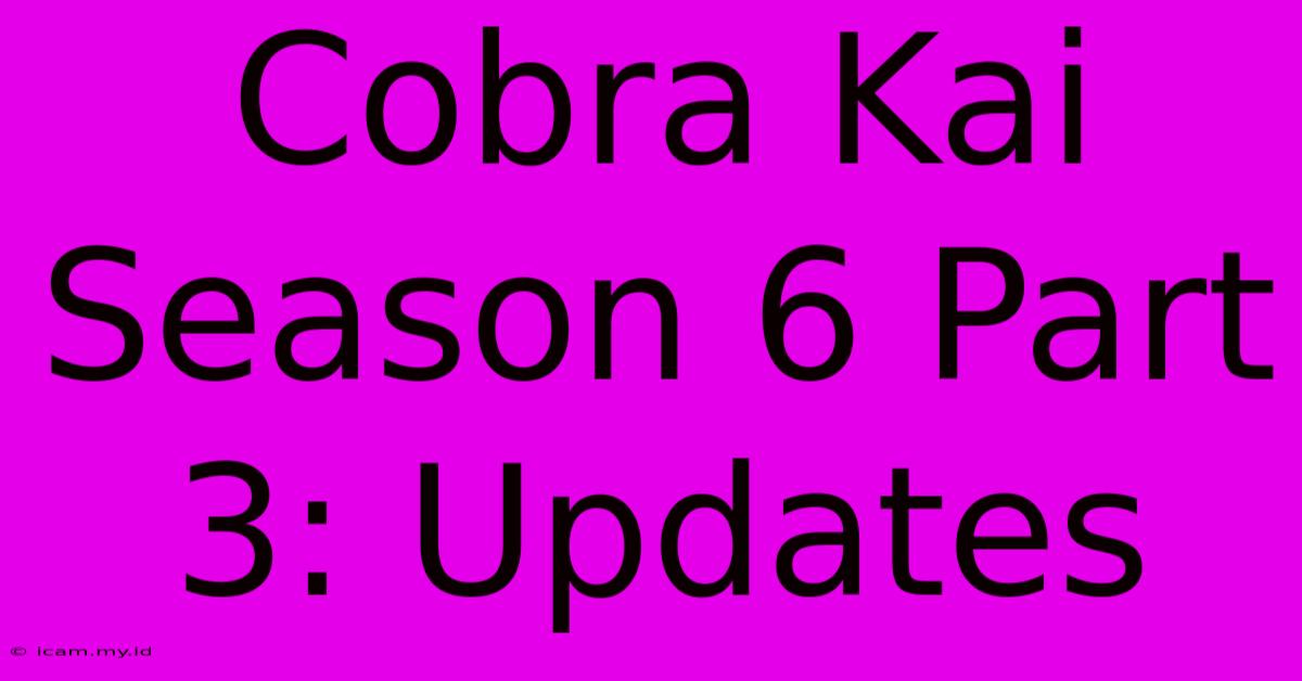 Cobra Kai Season 6 Part 3: Updates