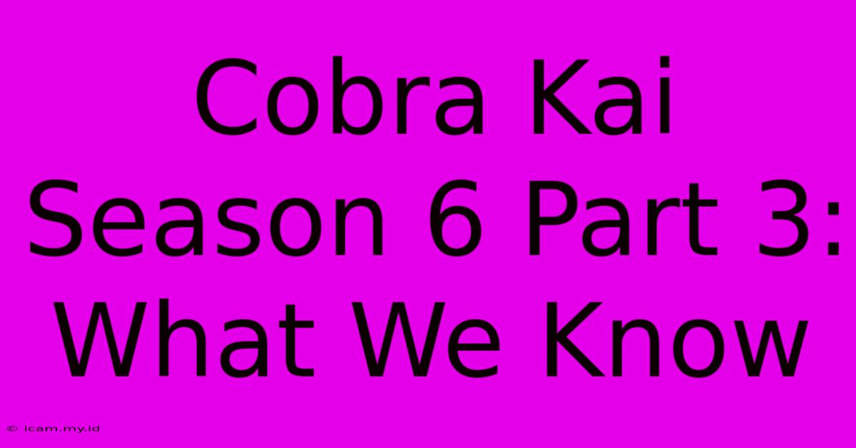 Cobra Kai Season 6 Part 3: What We Know