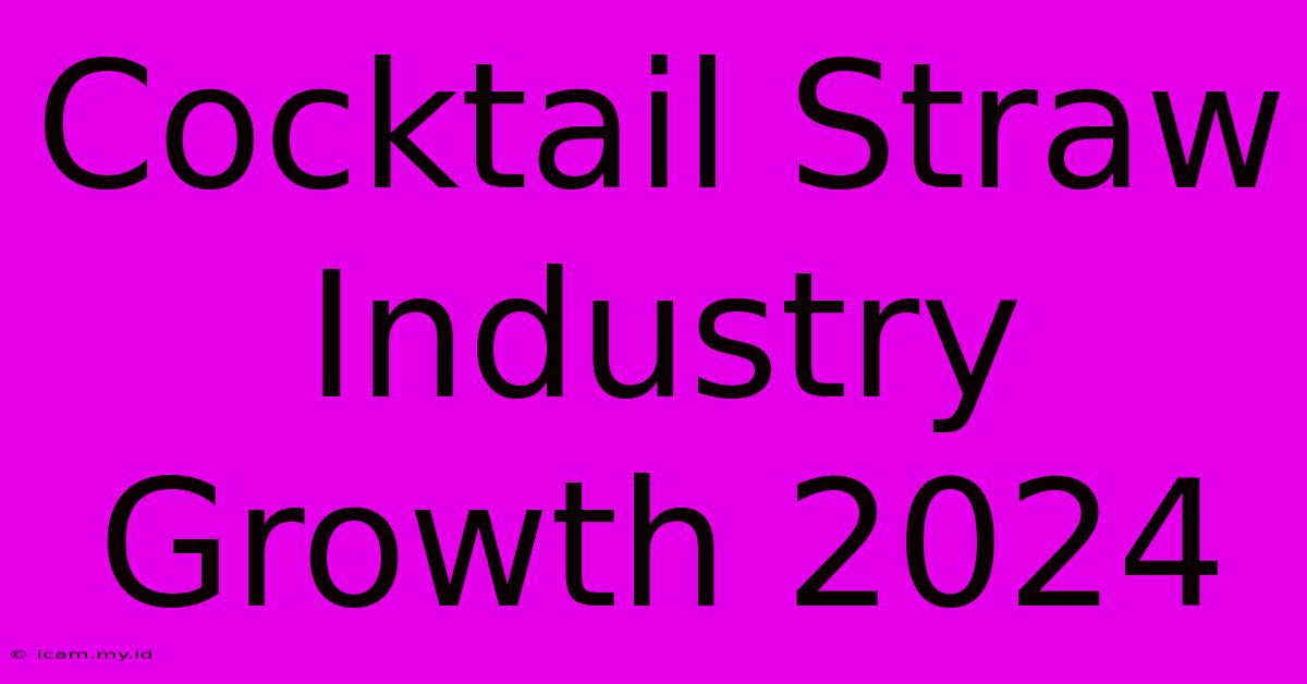 Cocktail Straw Industry Growth 2024