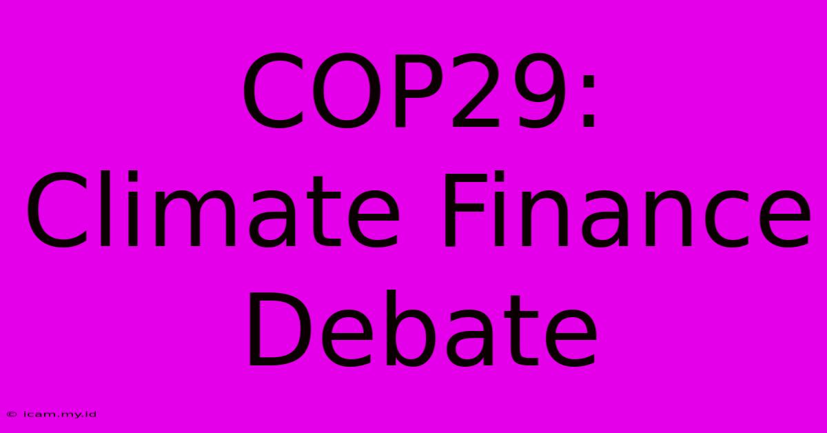 COP29:  Climate Finance  Debate