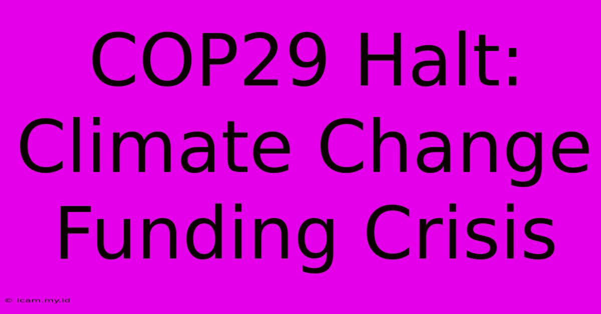 COP29 Halt: Climate Change Funding Crisis