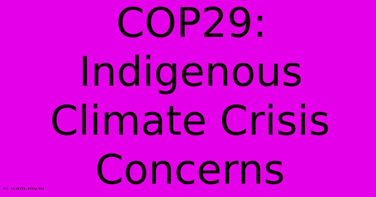 COP29: Indigenous Climate Crisis Concerns