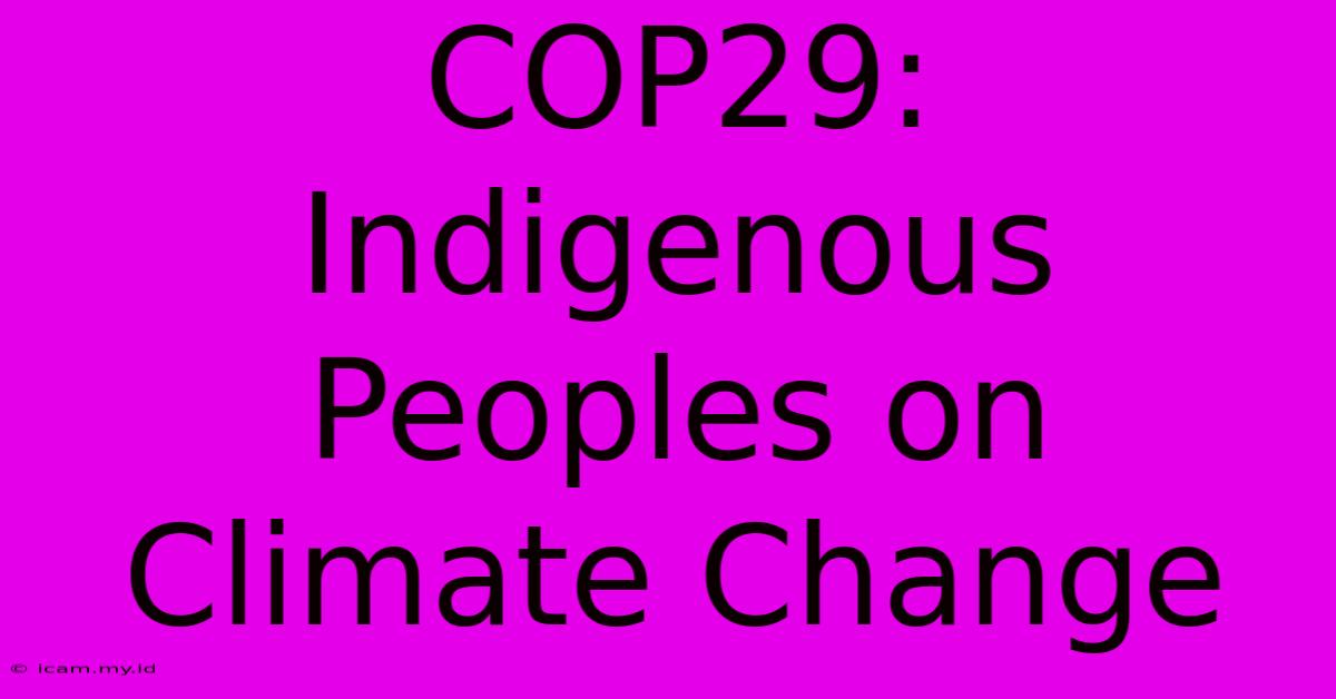 COP29: Indigenous Peoples On Climate Change