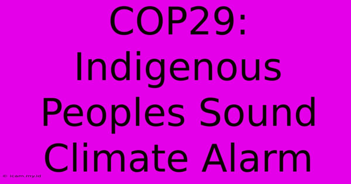 COP29: Indigenous Peoples Sound Climate Alarm