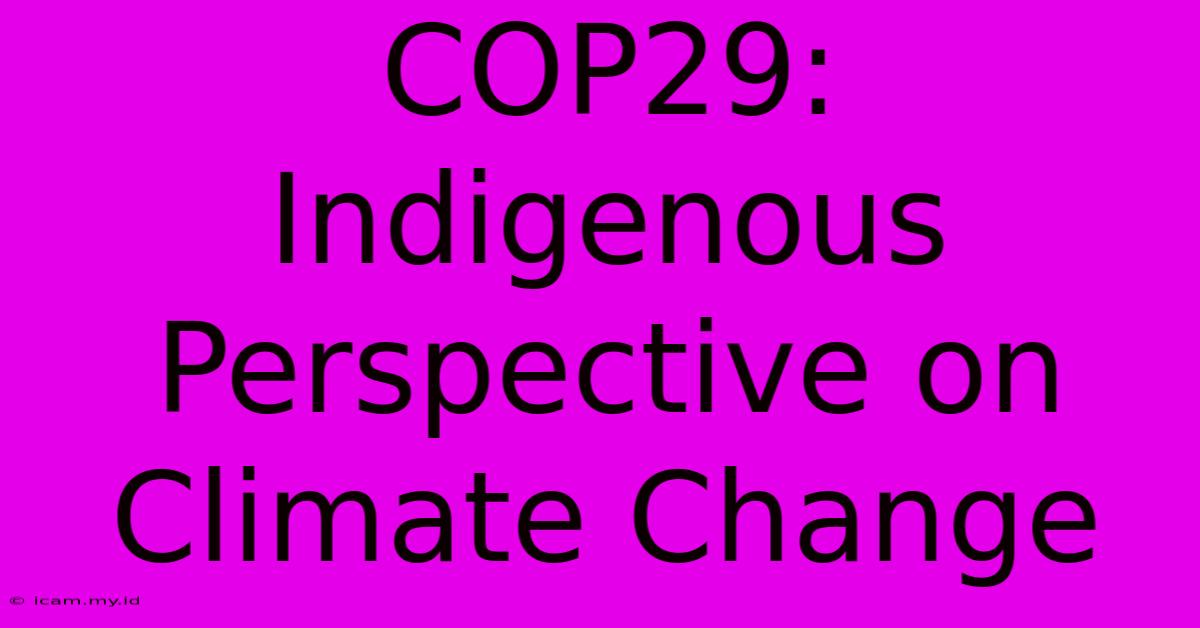 COP29: Indigenous Perspective On Climate Change