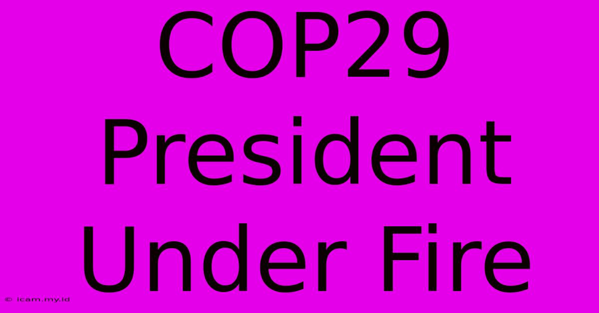 COP29 President Under Fire