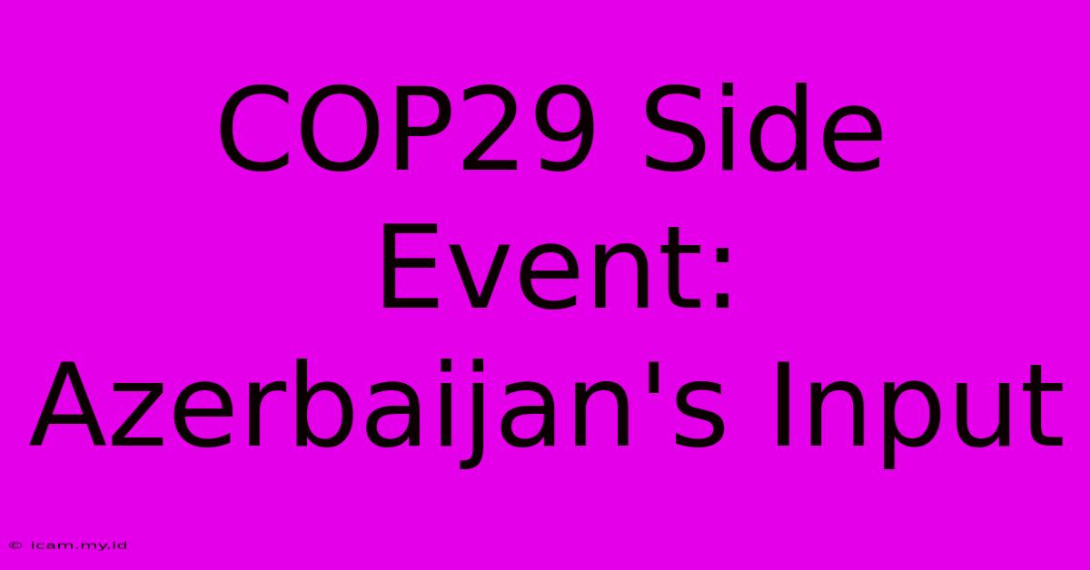 COP29 Side Event: Azerbaijan's Input