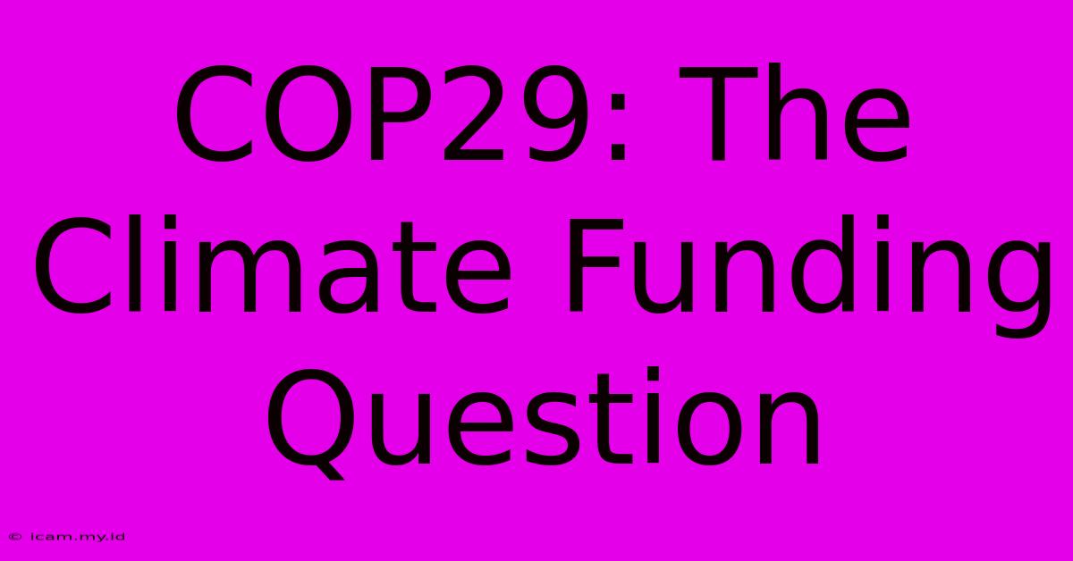 COP29: The Climate Funding Question