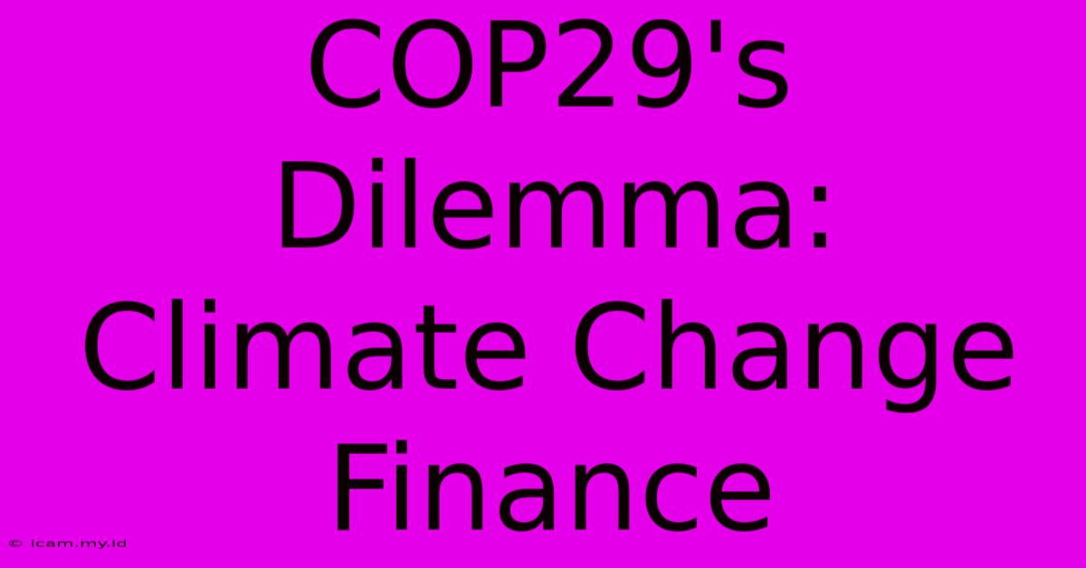 COP29's Dilemma: Climate Change Finance