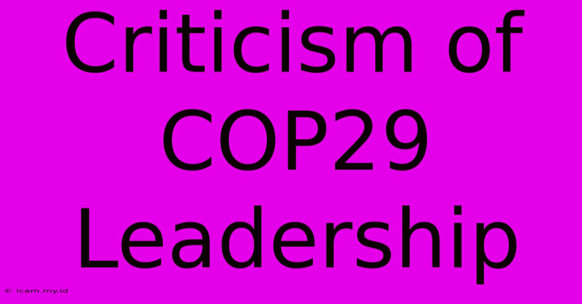 Criticism Of COP29 Leadership