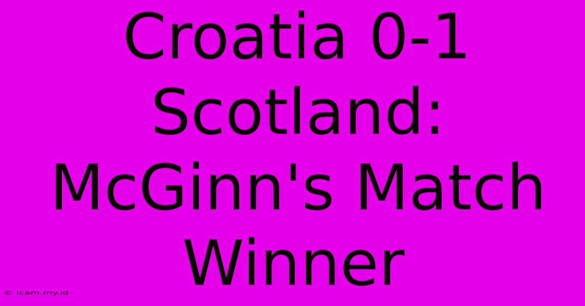 Croatia 0-1 Scotland: McGinn's Match Winner