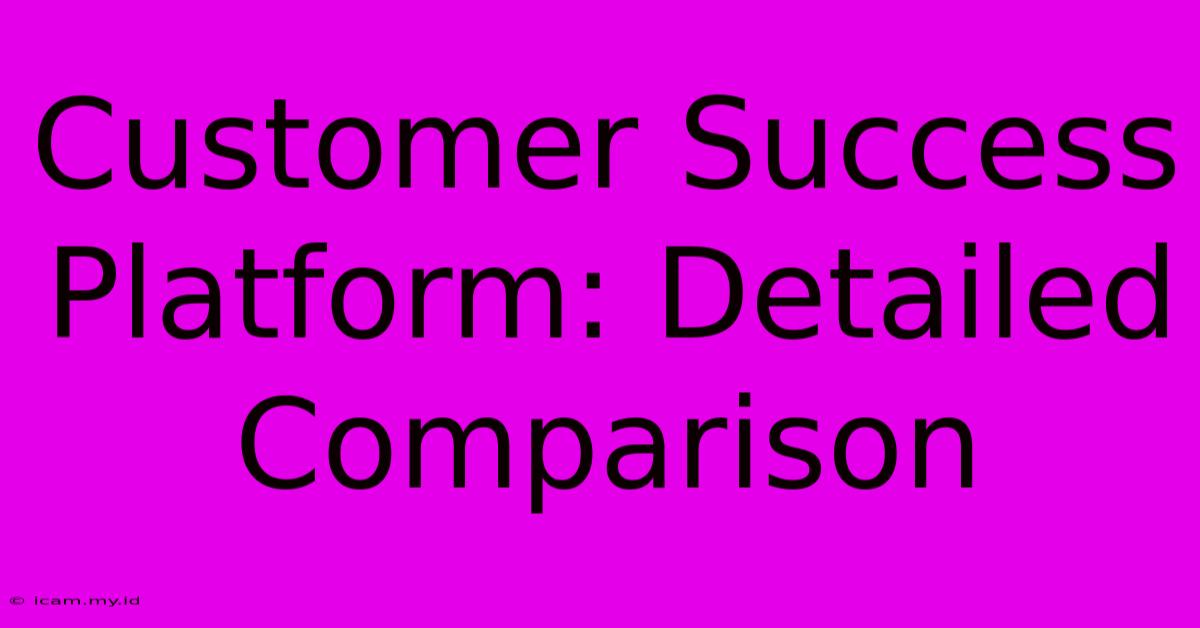 Customer Success Platform: Detailed Comparison