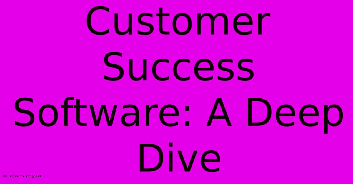 Customer Success Software: A Deep Dive