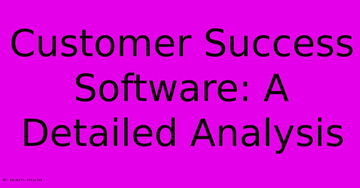 Customer Success Software: A Detailed Analysis