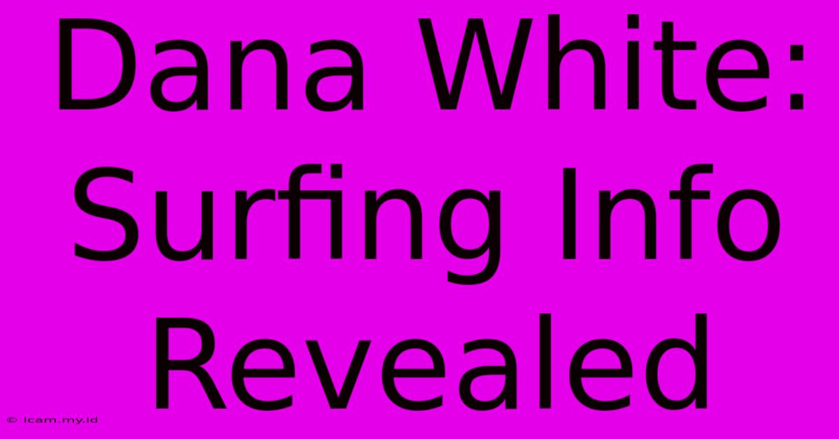 Dana White: Surfing Info Revealed