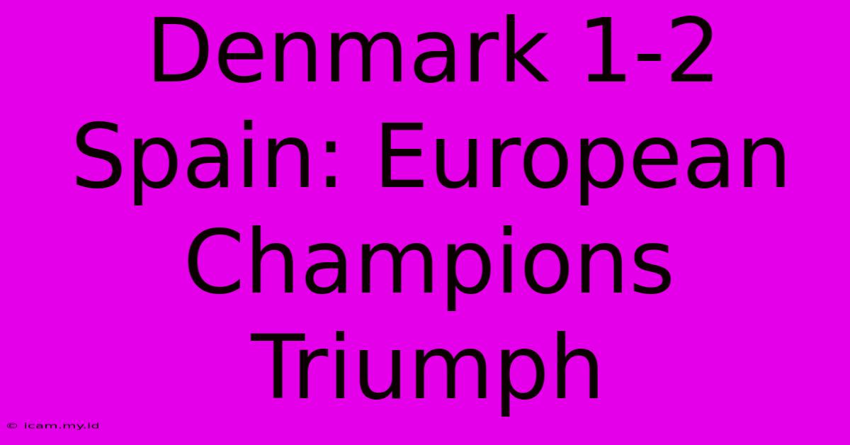 Denmark 1-2 Spain: European Champions Triumph