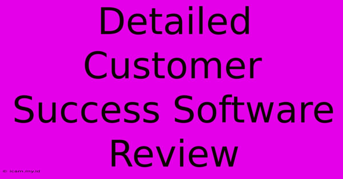 Detailed Customer Success Software Review