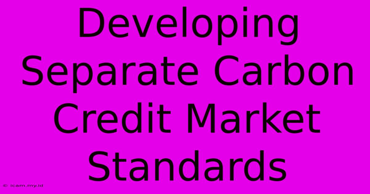 Developing Separate Carbon Credit Market Standards