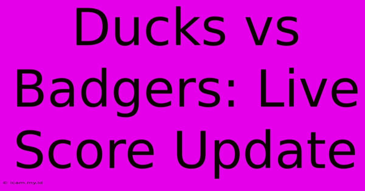 Ducks Vs Badgers: Live Score Update