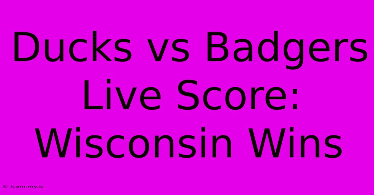 Ducks Vs Badgers Live Score: Wisconsin Wins