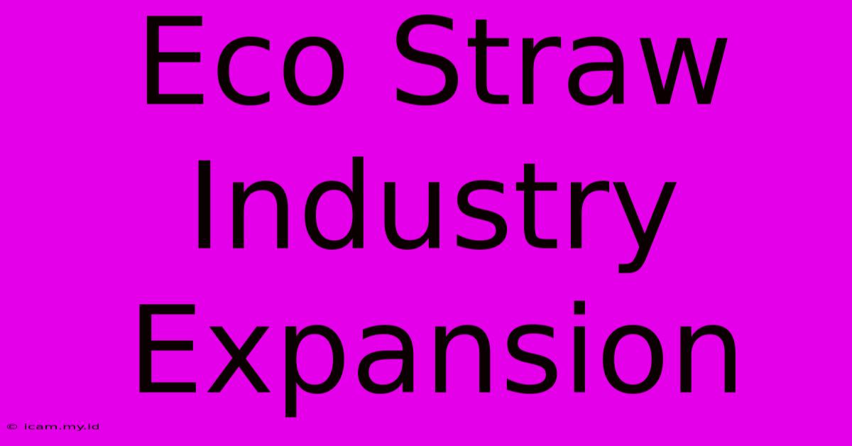 Eco Straw Industry Expansion