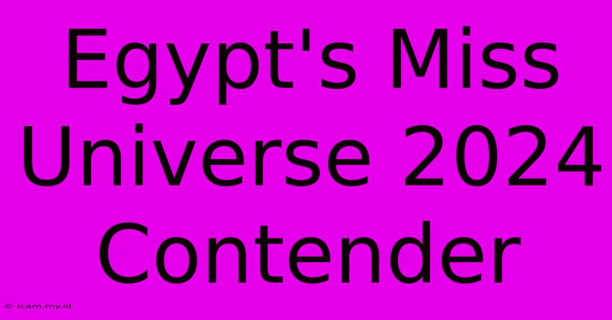 Egypt's Miss Universe 2024 Contender