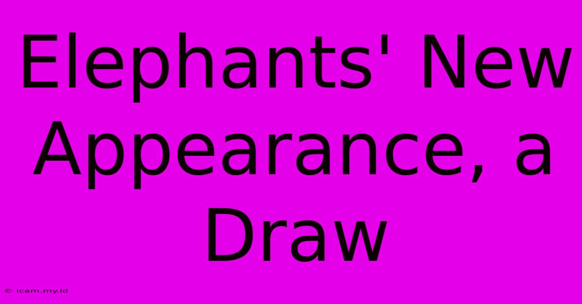 Elephants' New Appearance, A Draw