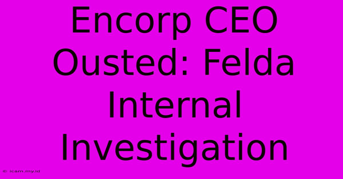 Encorp CEO Ousted: Felda Internal Investigation