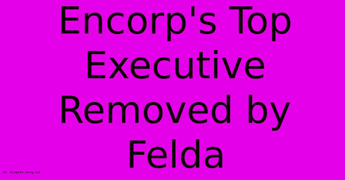 Encorp's Top Executive Removed By Felda