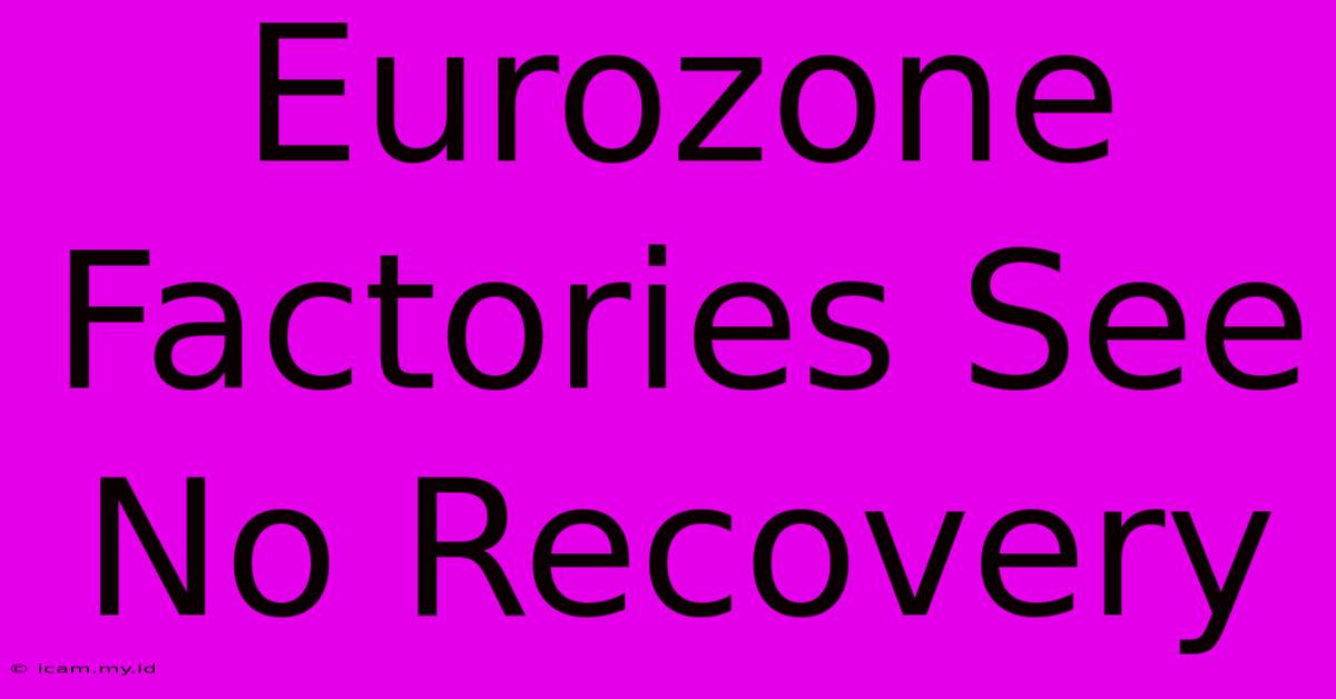 Eurozone Factories See No Recovery