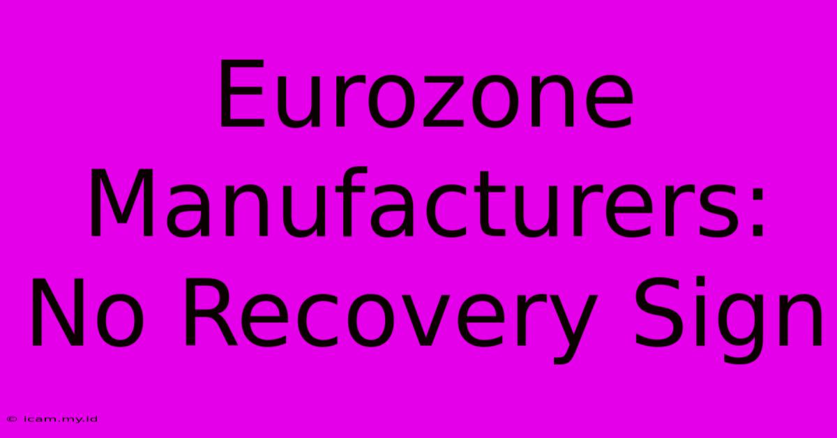 Eurozone Manufacturers: No Recovery Sign